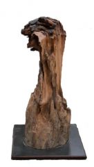 Teil eines trockengefallenen und verrotteten Pfahlkopfes